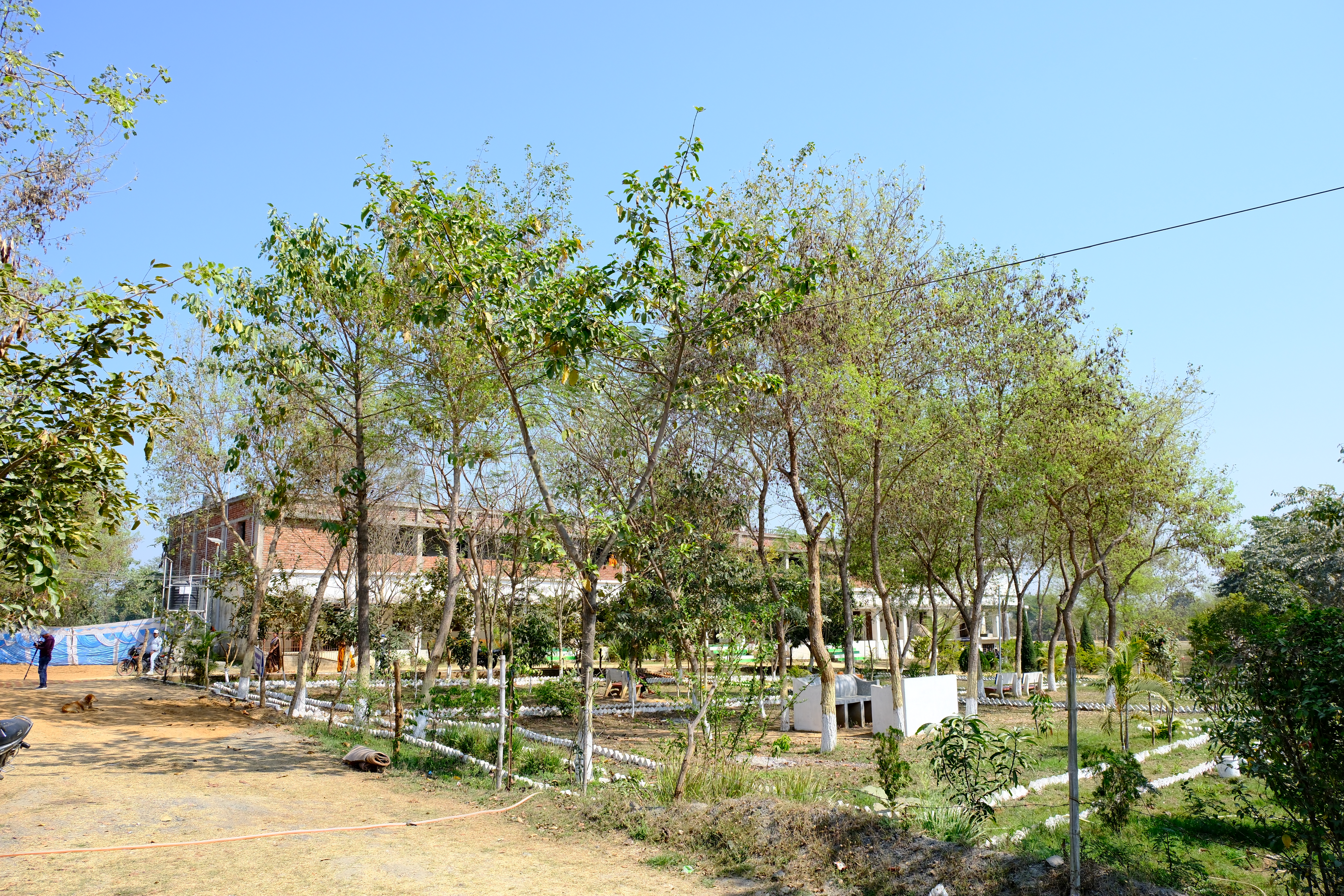 GREEN CAMPUS AREA